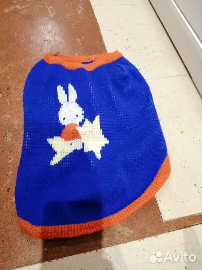 Одежда для маленьких собак s