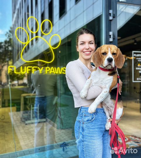 Груминг собак зоосалон