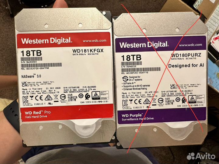 Western Digital WD Red Plus 12 Tb