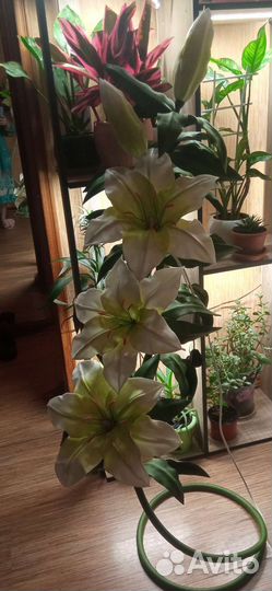 Светильник напольный