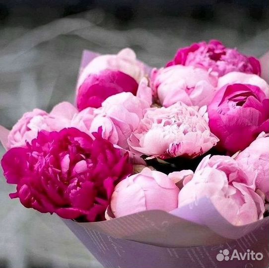 Пионы Цветы Доставка
