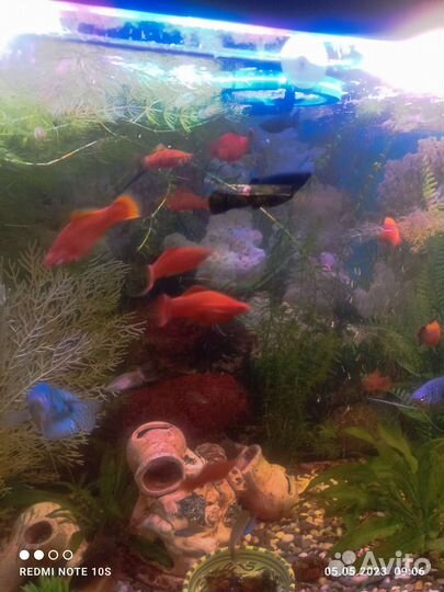 Аквариум 150л.; 41л - 2 шт