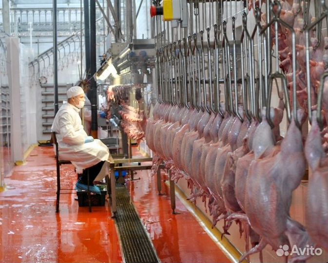 Разнорабочие на пищевое производство,подработка