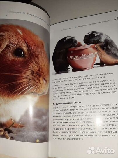 Кролики хомяки иллюстрированная энциклопедия + 1