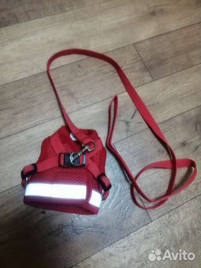 Поводок и шлейка