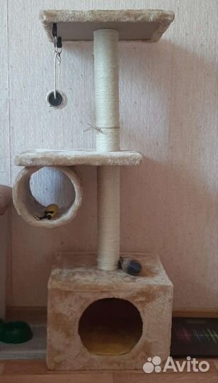 Когтеточка для кошек