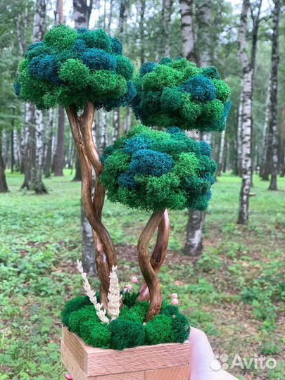 Декоративные деревья