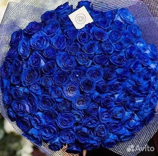 Доставка букетов и цветов. Синие розы