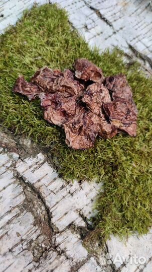 Вкусняшки и Лакомства для собак