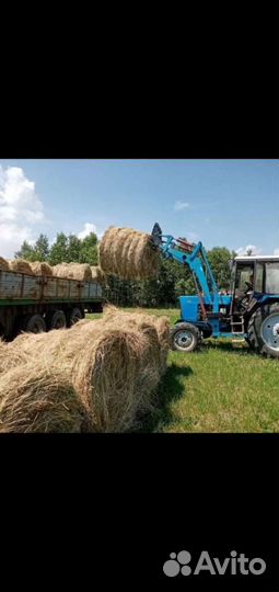 Продам Сено, Солому от 3 рулонов