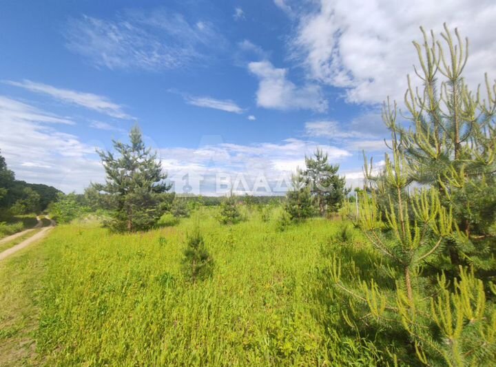 Участок 12,1 сот. (ИЖС)