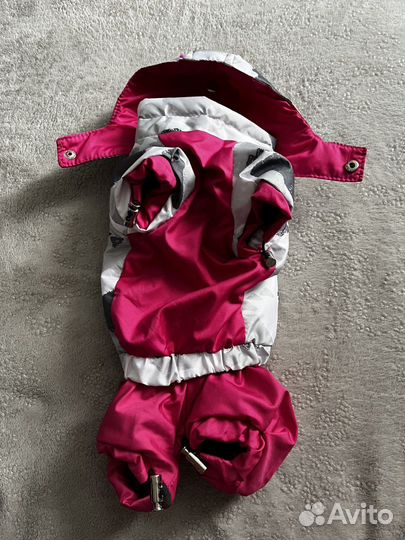 Костюм для собаки мелкой породы