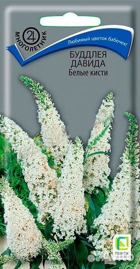 Буддлея Давида