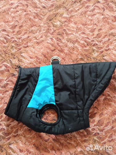 Одежда для маленькой собачки