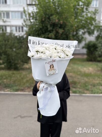 Ромашки Хризантемы Цветы Доставка