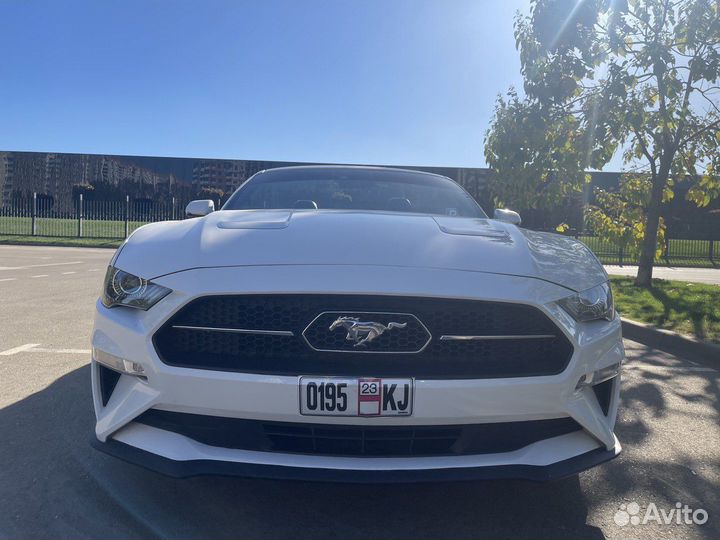 Аренда Mustang на фотосессию или свадьбу