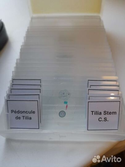 Микроскоп учебный Левенгук