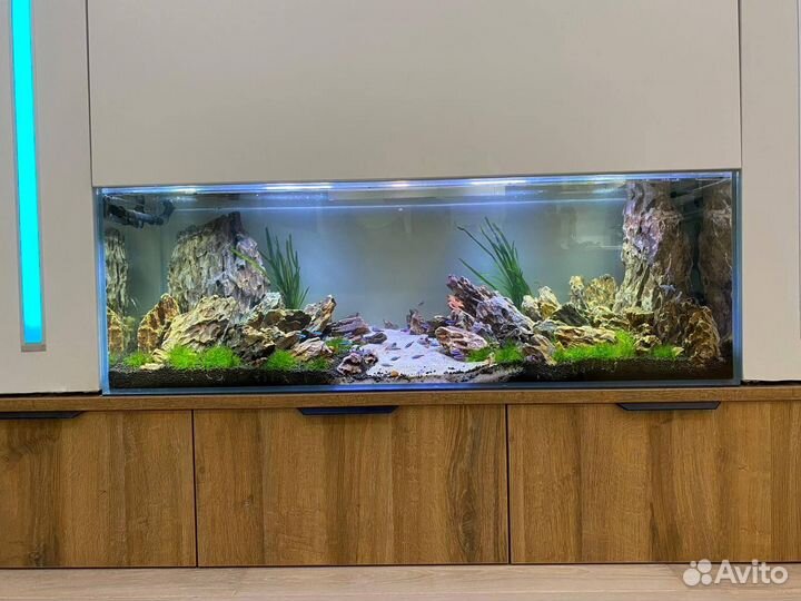 Обслуживание аквариумов (чистка, лечение)