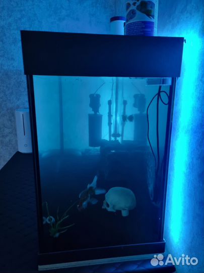 Аквариум на 300 литров