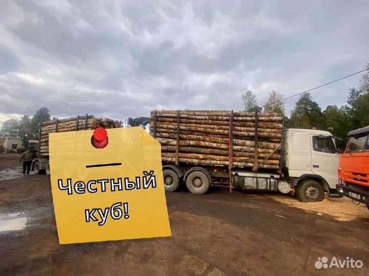 Дрова