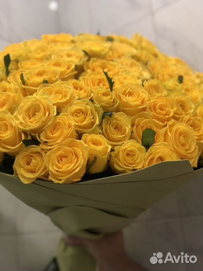 Цветы розы 101 желтая