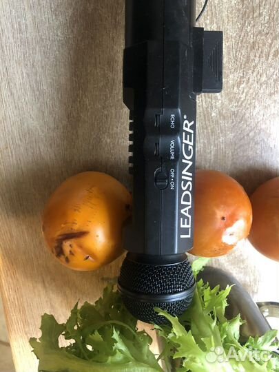 Радиомикрофон караоке leadsinger