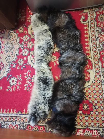 Натуральный мех воротники