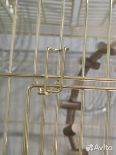 Клетка для попугая(ев)