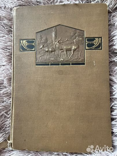 Фотоальбом с дореволюционными карточками