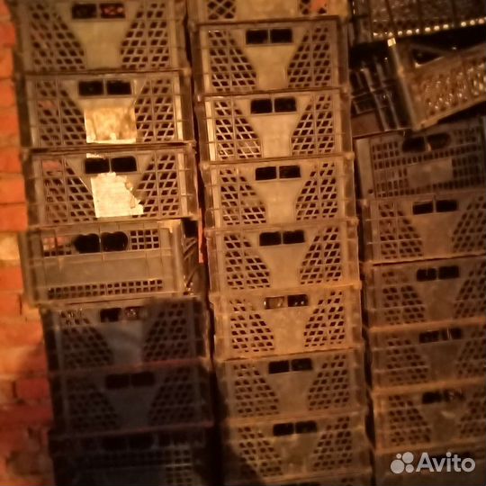 Ящики ппластиковые