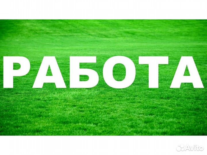 Вахта Разнорабочий Вып. еженед. Друж. коллектив Б