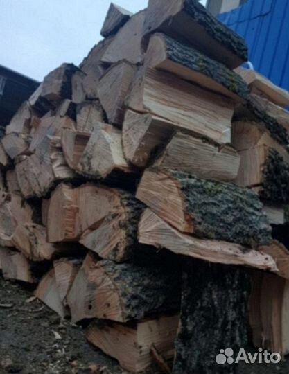 Дрова дубовые