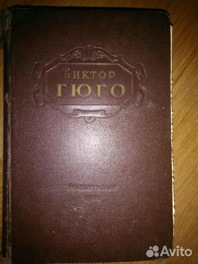 Книги Гюго, Салтыков Щедрин