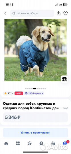 Комбинезон для собаки крупной породы