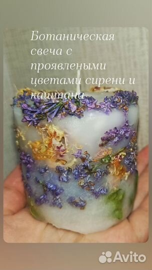 Ботаническая свеча