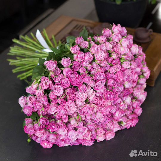 Кустовая роза пионовидная бомбастики