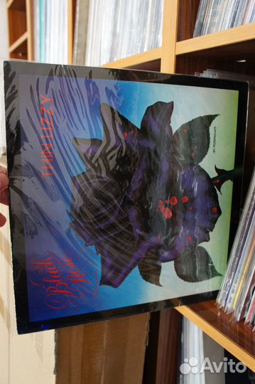 Thin Lizzy - Black Rose (A Rock Legend)