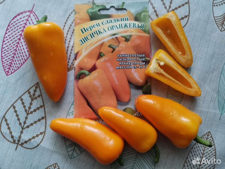 Семена Перца Лисичка