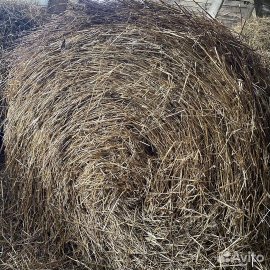 Сено салома