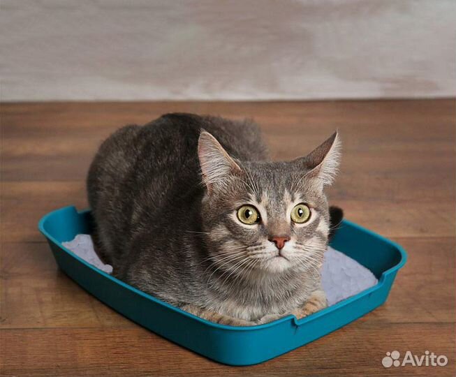 Наполнитель для кошачьего туалета силикагелевый