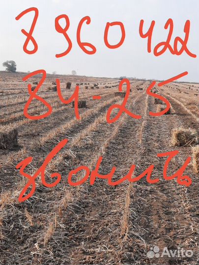 Сено соя в тюках