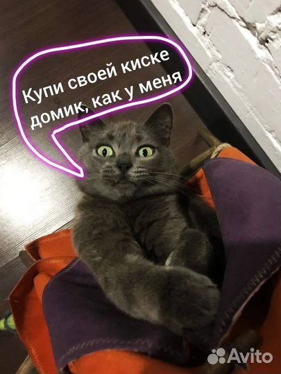 Домик для кошки/собаки/кролика