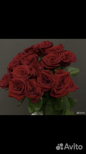 Букет роз 15шт. Бонусная система для Авито