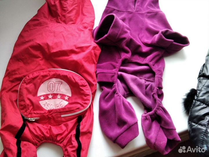 Одежда для маленькой собачки