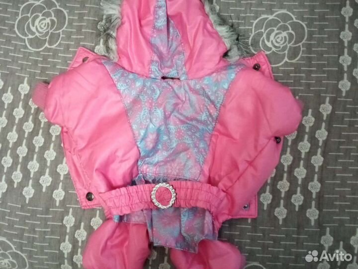 Одежда для собак мелких пород