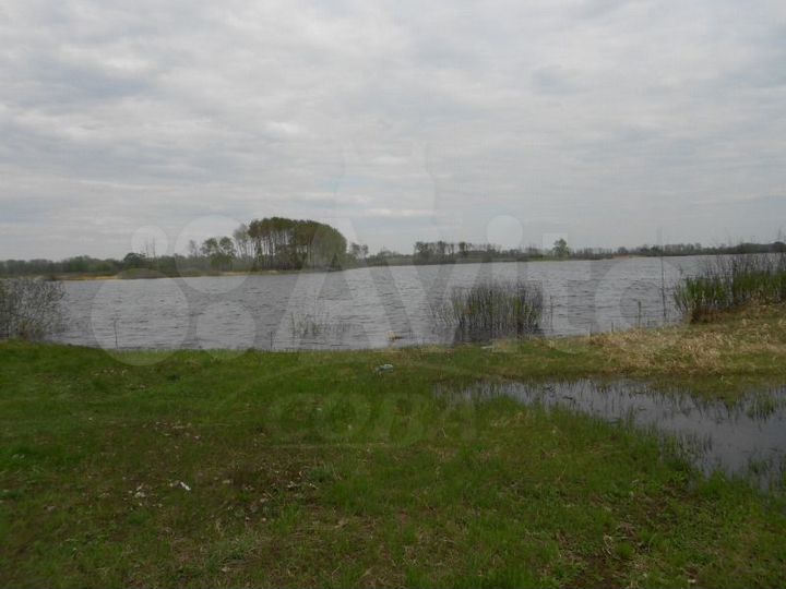 Земля борках. Земля борках. Борки нижнекамск. Земля борках. Земля борках.