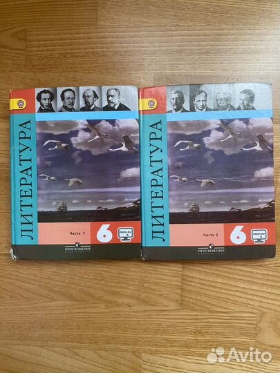 Литература 6 класс