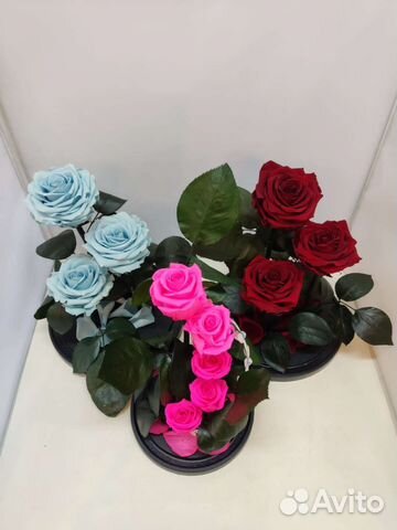 Роза в колбе