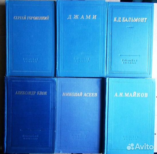 Библиотека поэта