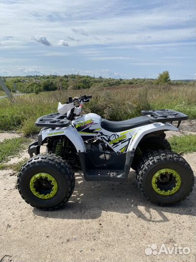 Avantis Hunter 8 New 125